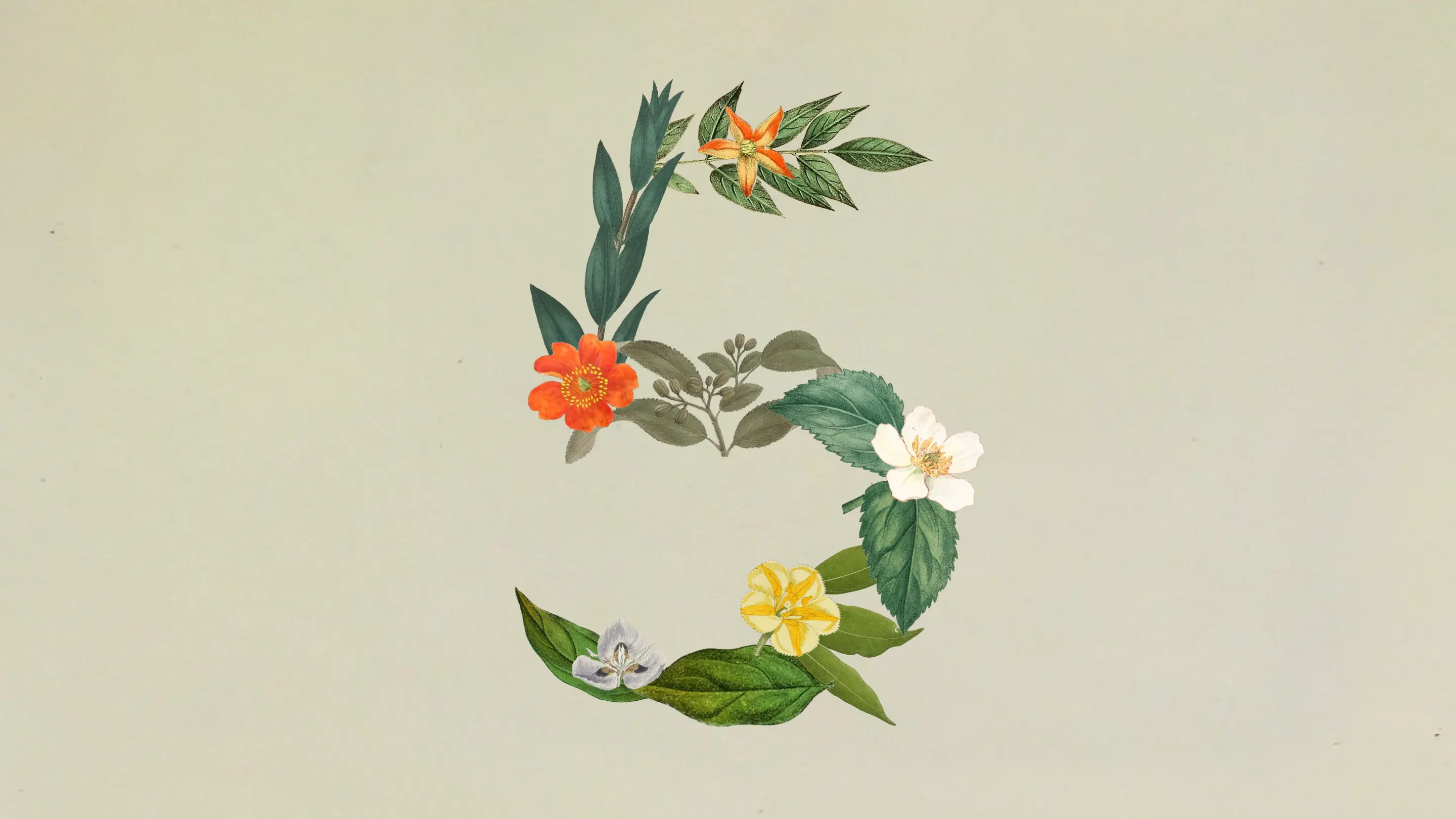 Anthropic launches Claude Sonnet 5